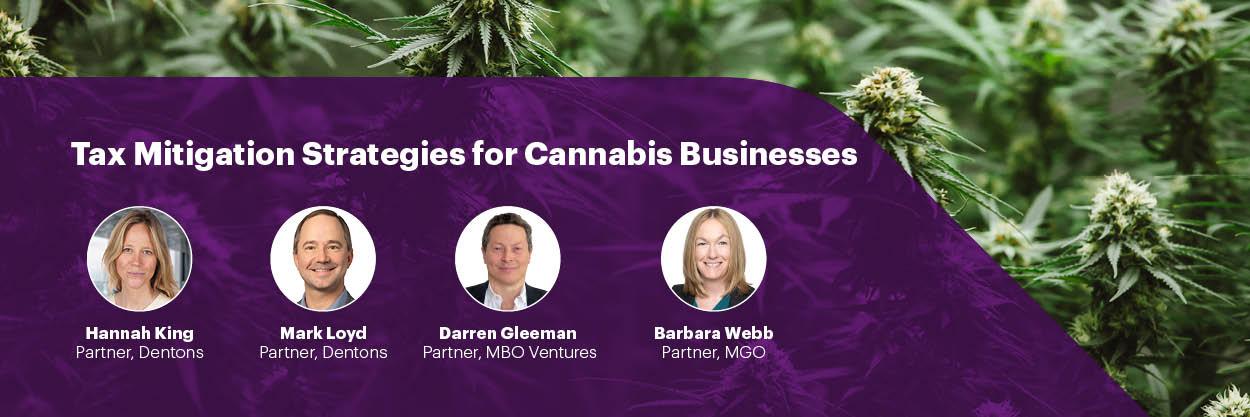 Tax Mitigation Strategies for Cannabis Businesses banner
