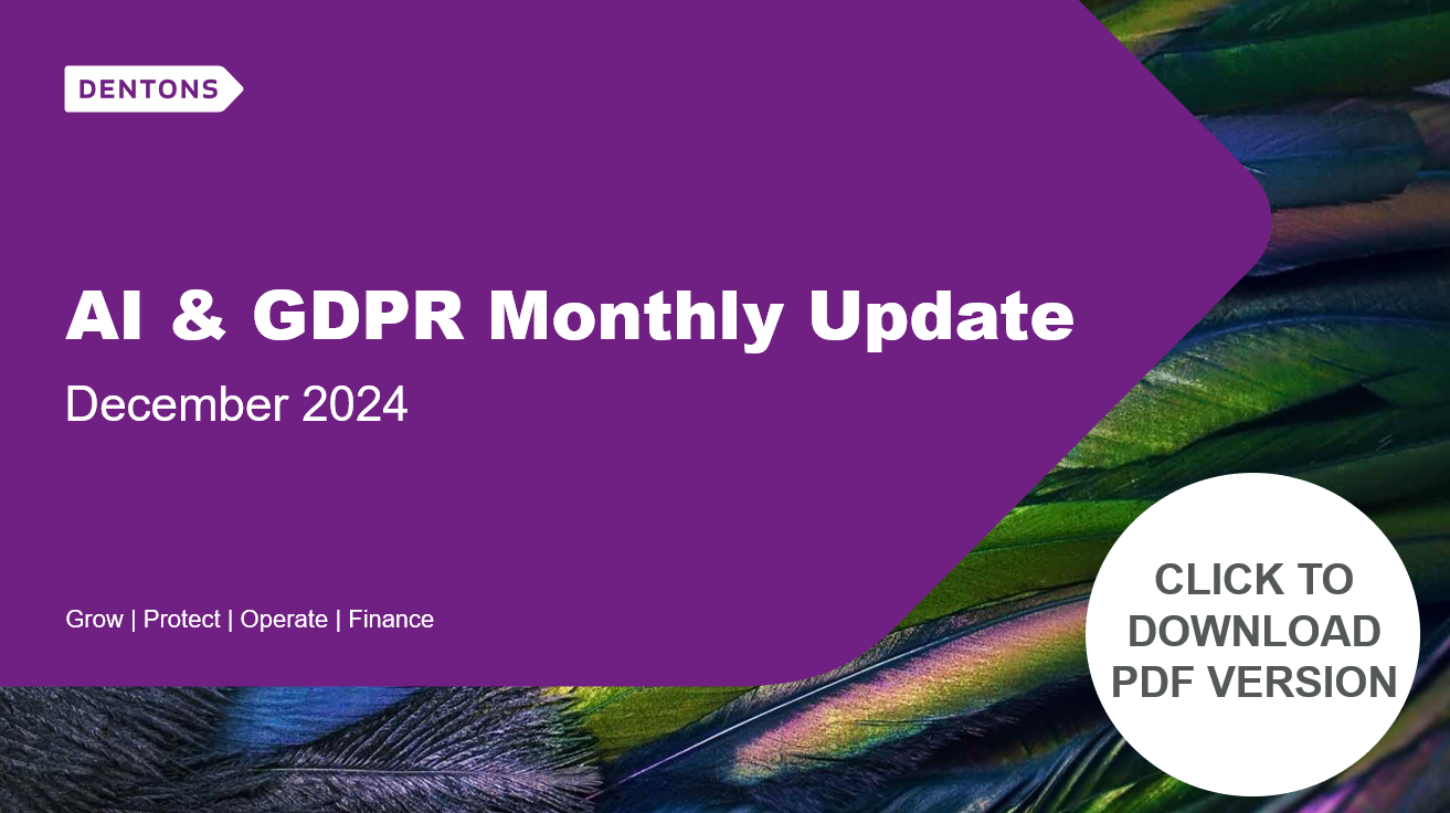 AI & GDPR Monthly Update - click to download PDF version