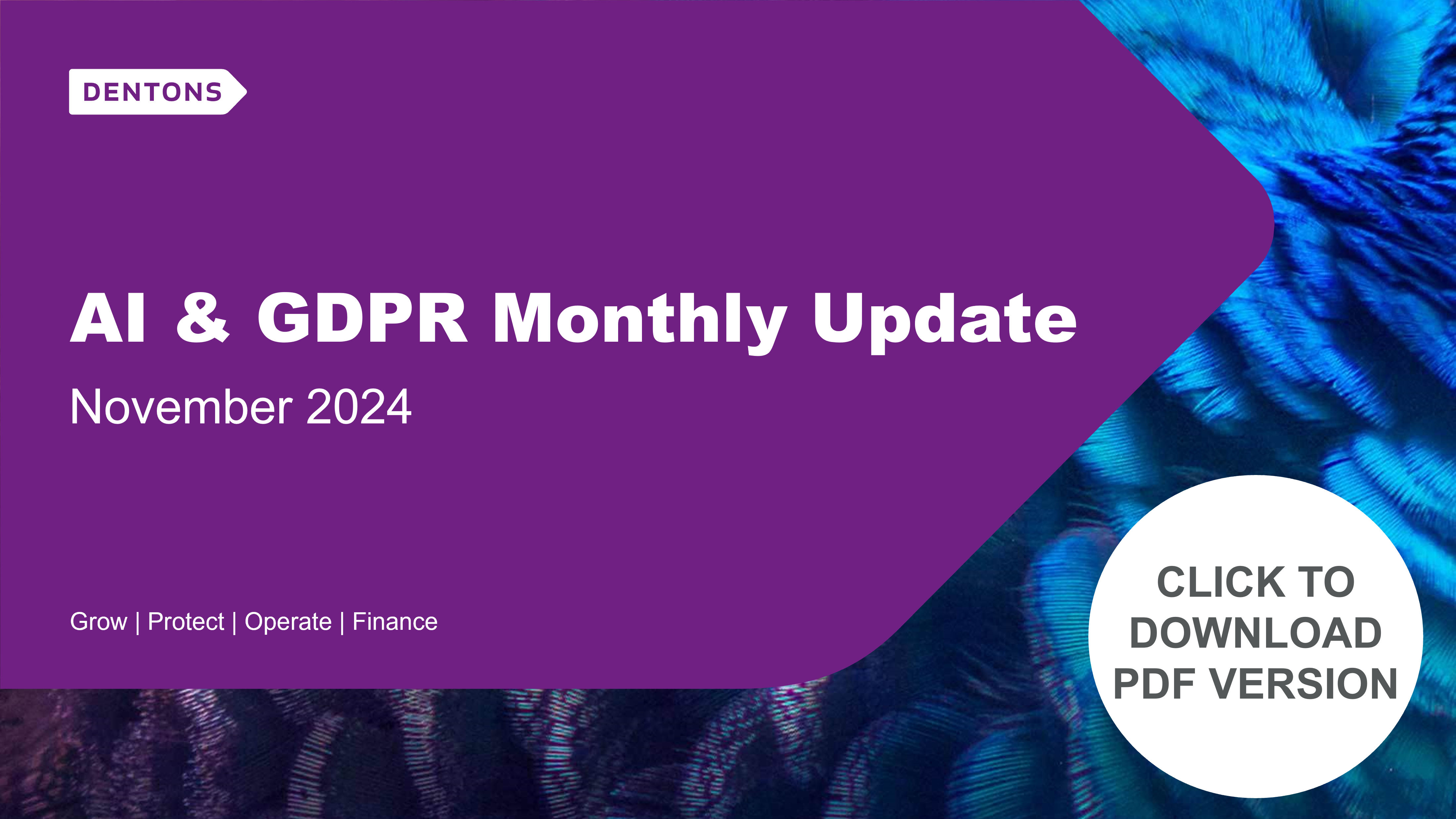 AI GDPR Monthly update November 2024 banner