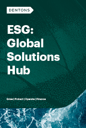 ESG global solution hub thumbnail