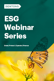 esg webinar series thumbnail